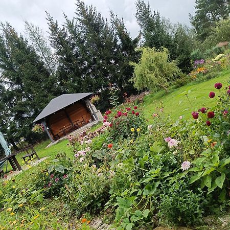 Farcik Pokoje Goscinne Nowa Wies  Exteriér fotografie