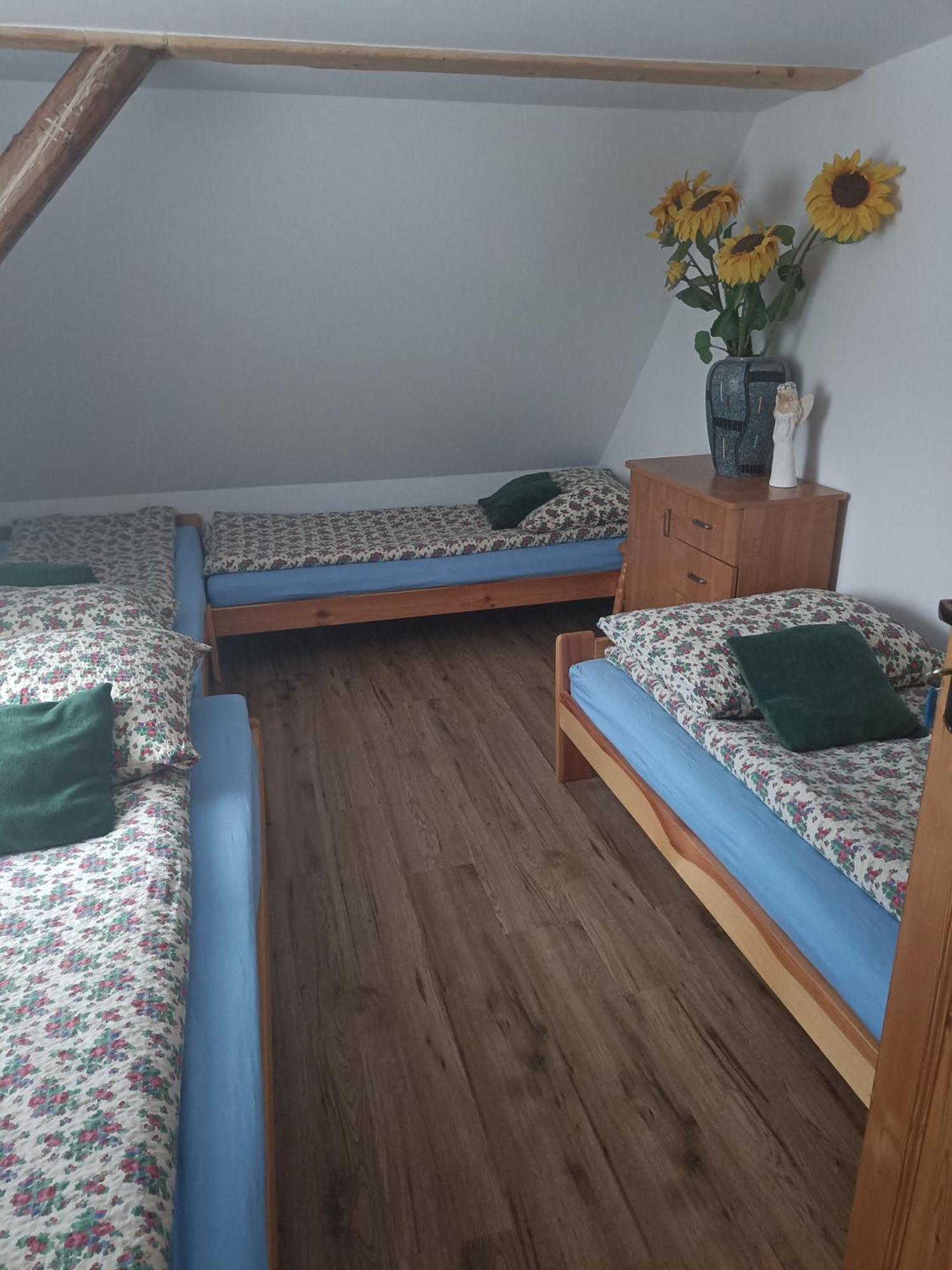Farcik Pokoje Goscinne Nowa Wies  Exteriér fotografie
