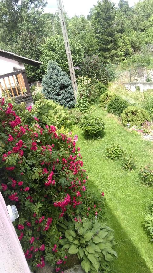 Farcik Pokoje Goscinne Nowa Wies  Exteriér fotografie